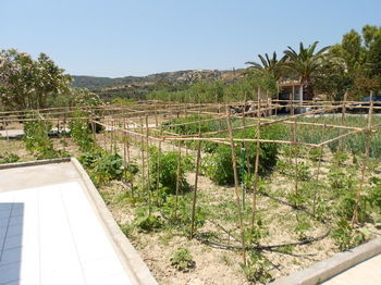 Hotel Anthoula