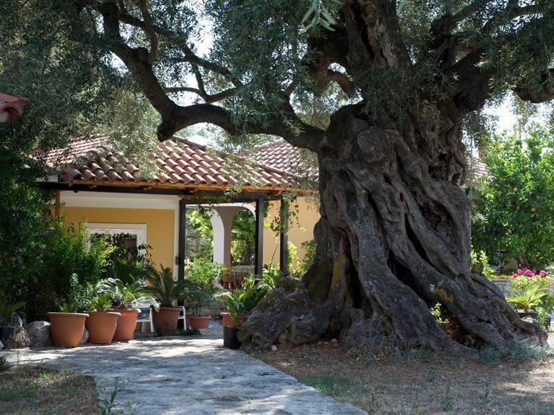 Hotel Christina 3*