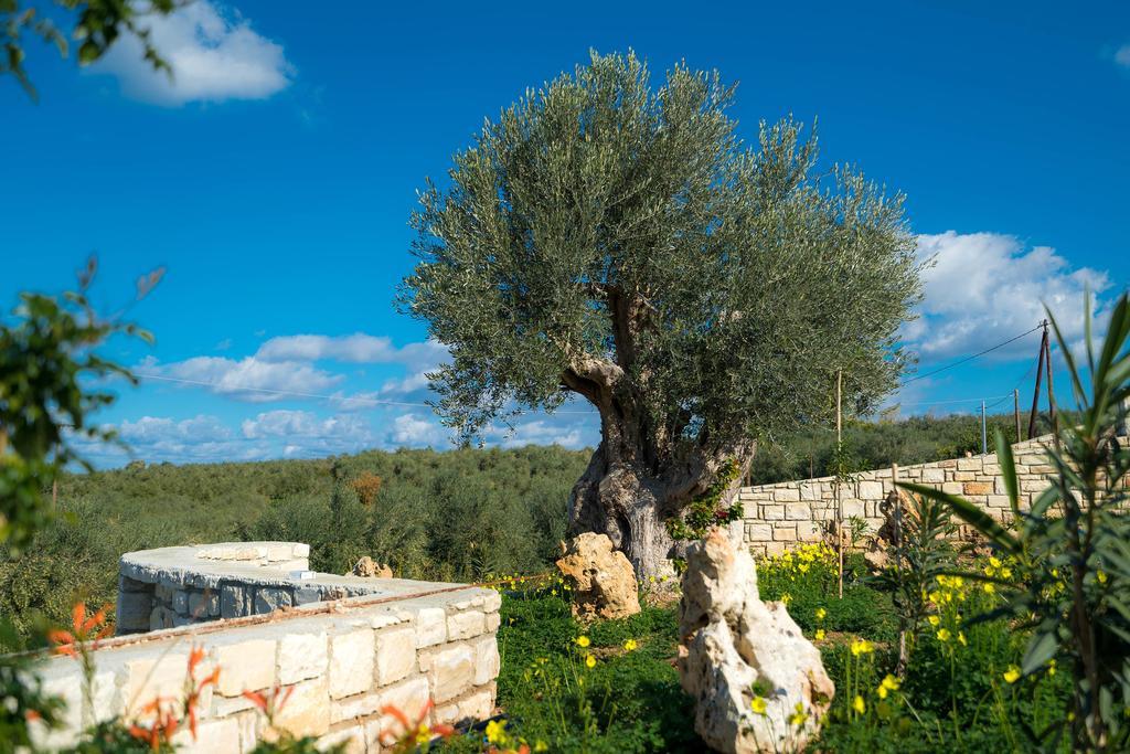 Villa Olive Garden