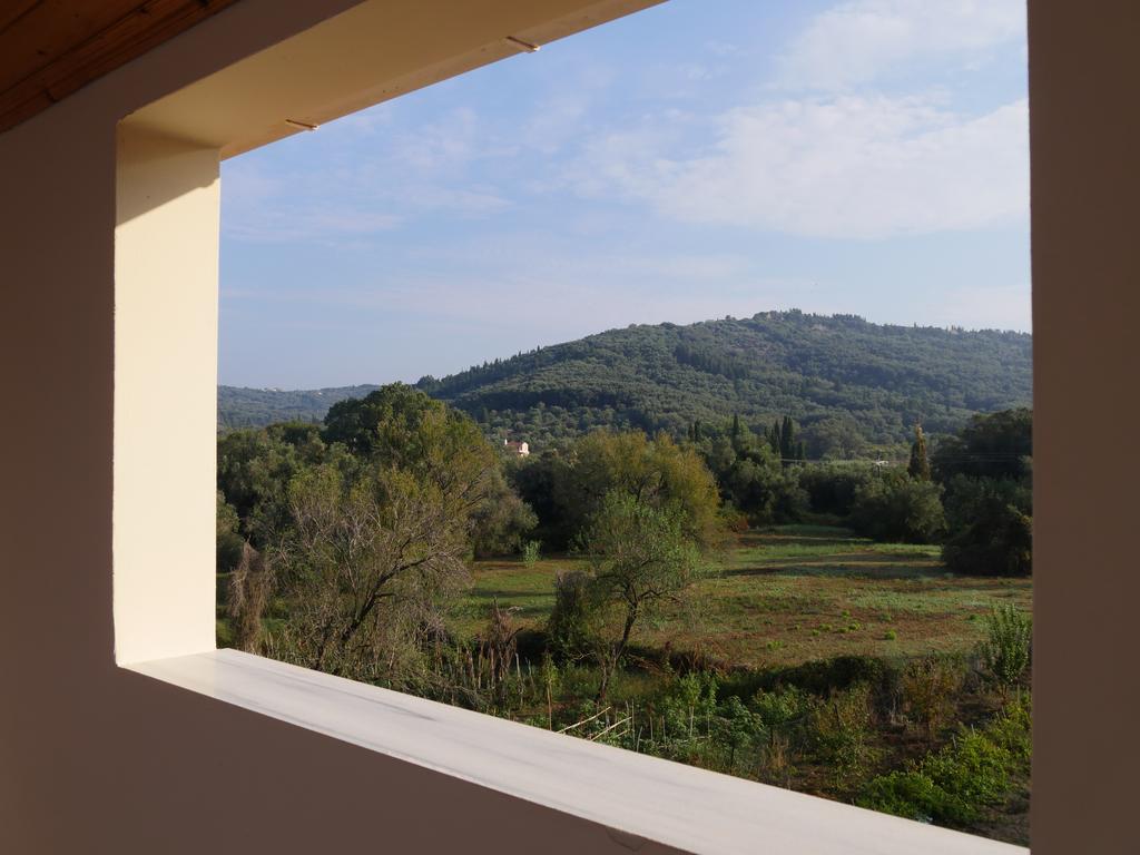 Apartment Katerina Agios Georgios Pagon