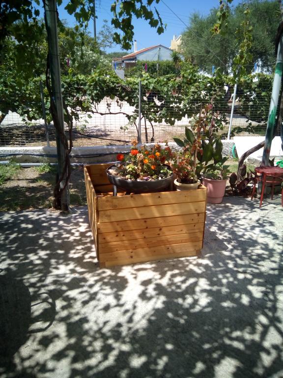 Apartment Ammos Roda (Corfu)