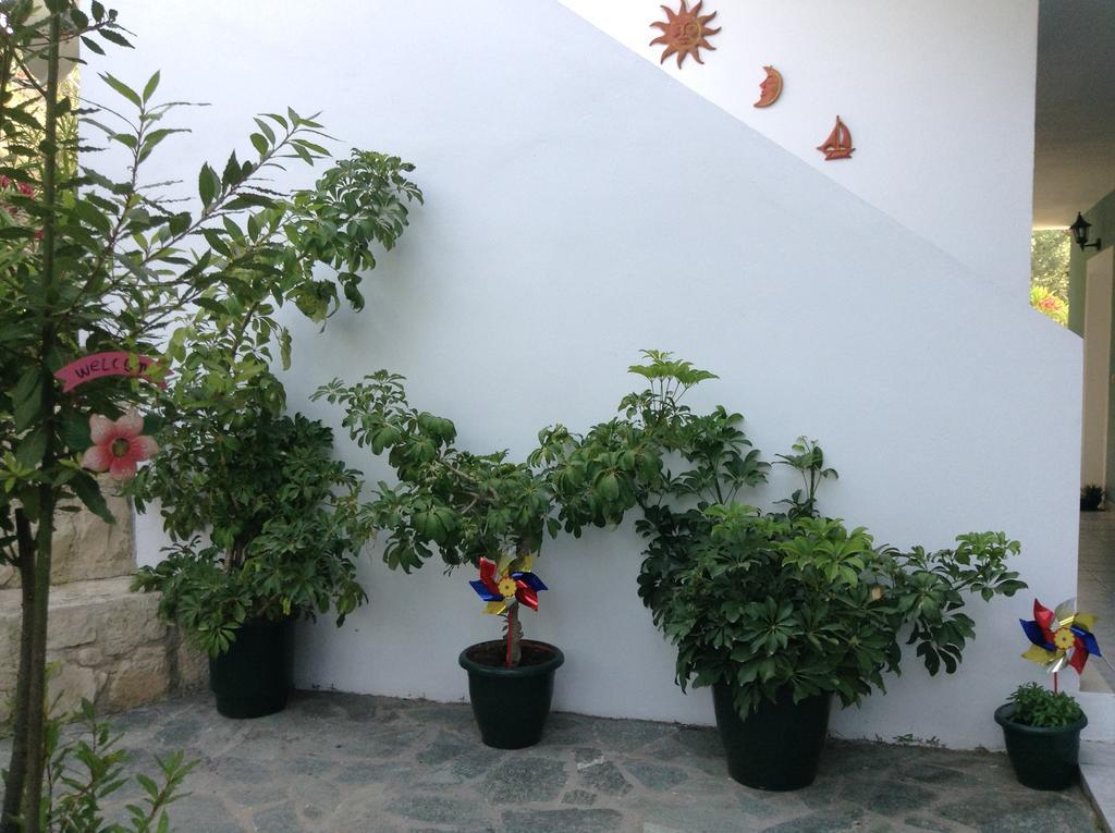 Apartment Smile's Tsilivi (Zakynthos)