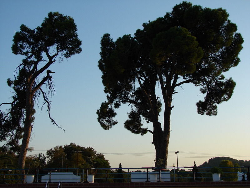 Caravos Hotel 3*