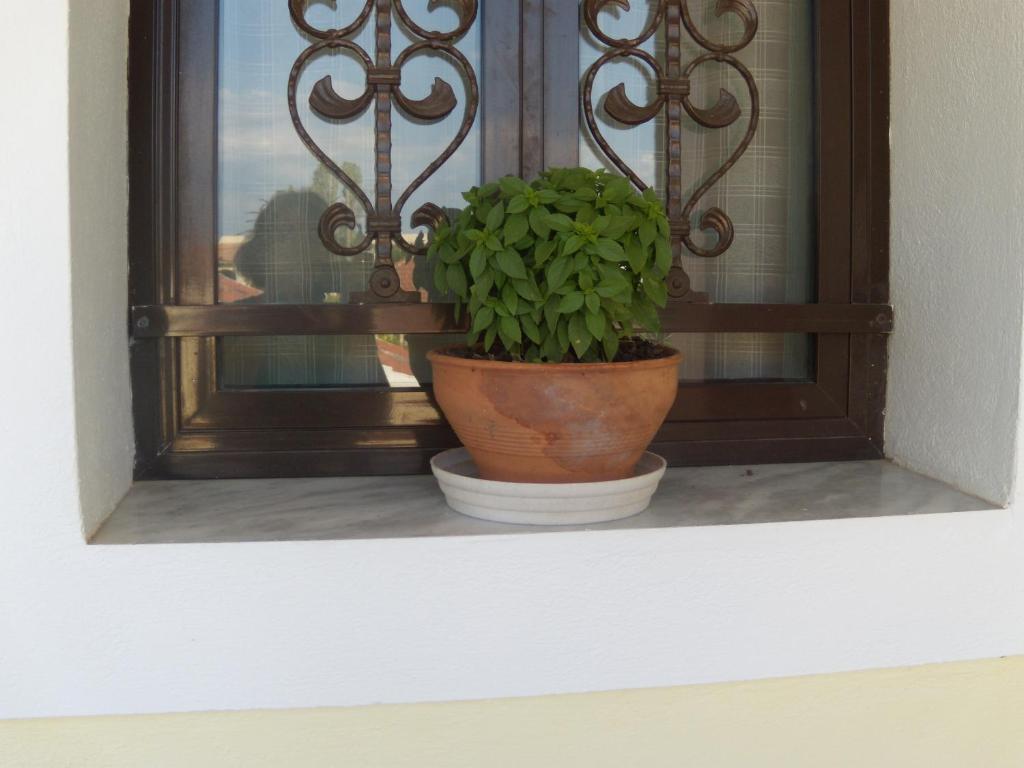 Antigoni's Apartment Acharavi (Corfu)