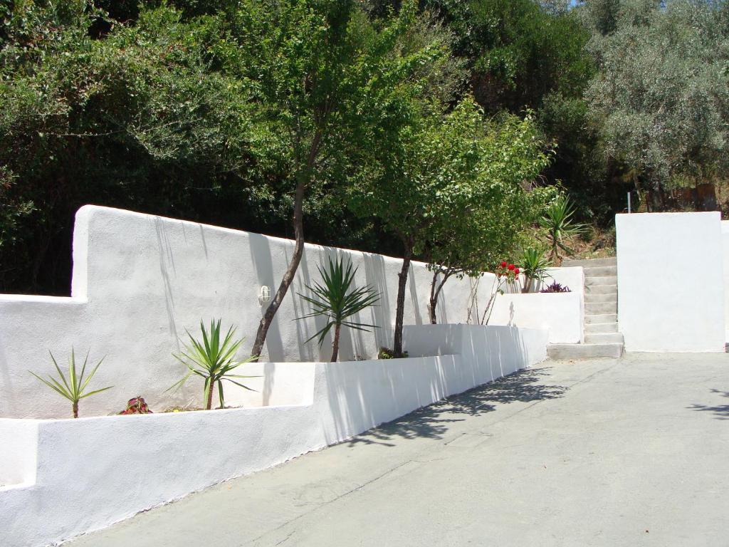 Diamanti * Kanapitsa (Thessaly)
