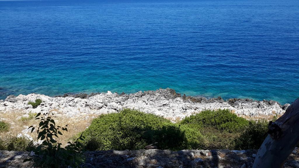 Palataki Absolute Blue *