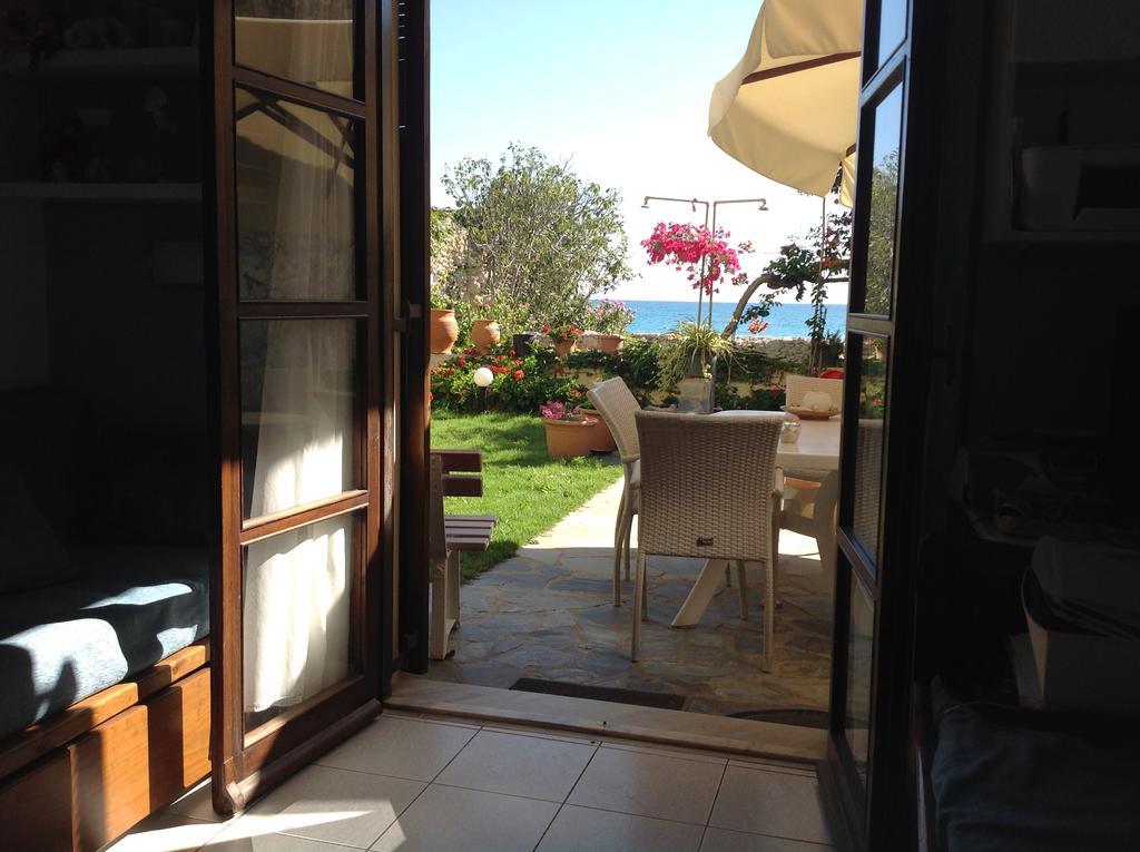 Asterias Studios &