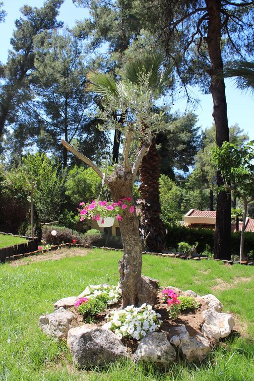 Holiday home Sani Xara *