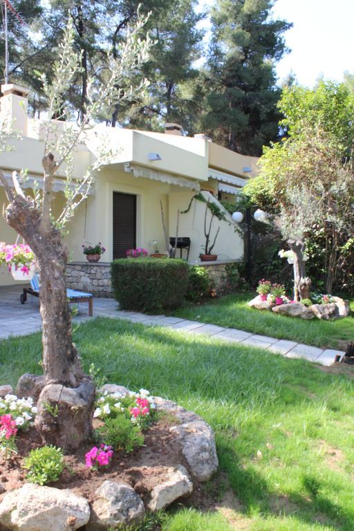 Sani Xara Holiday home *