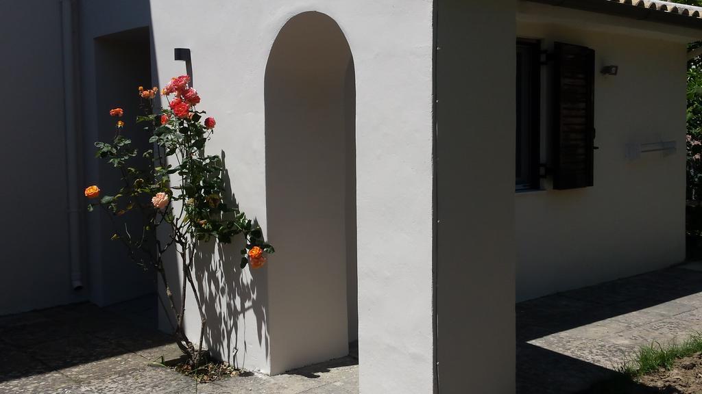 Orange Grove Apartment