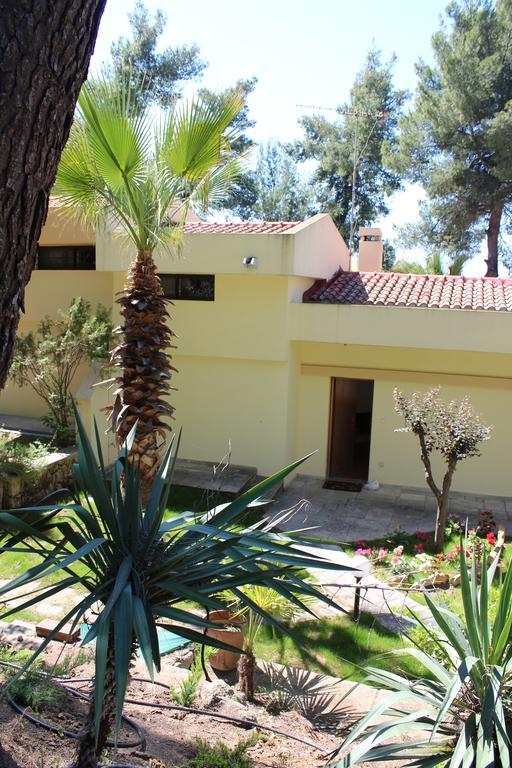 Sani Xara Holiday home *
