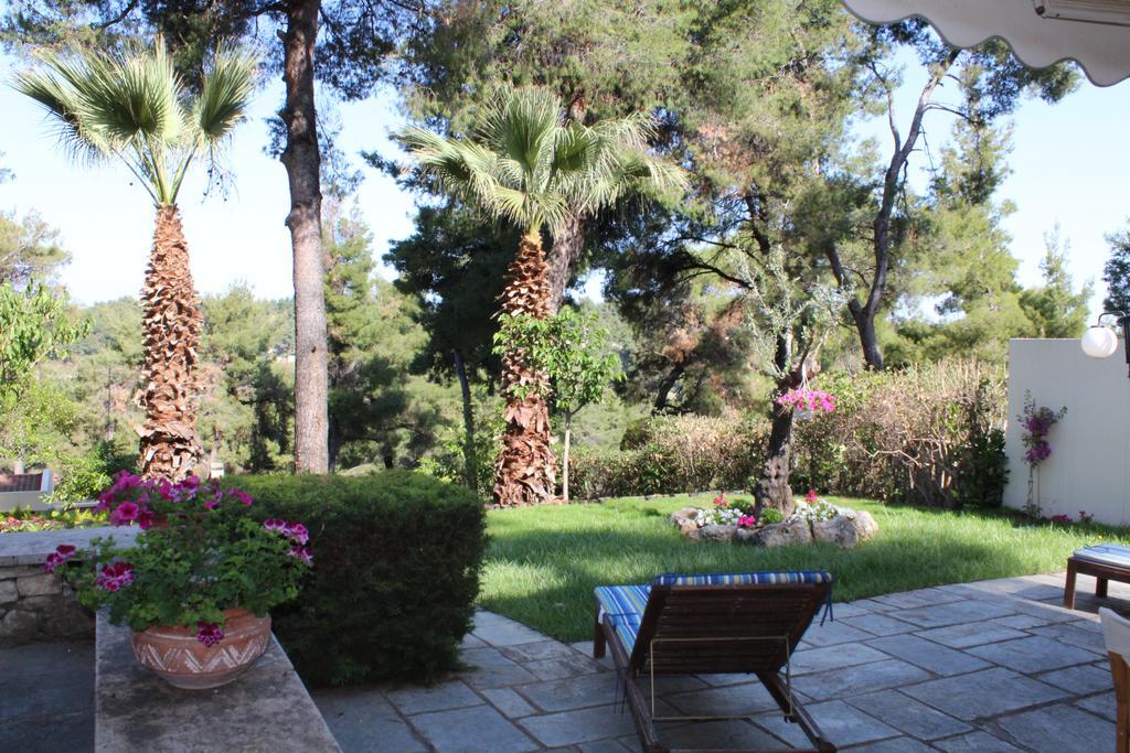 Sani Xara *