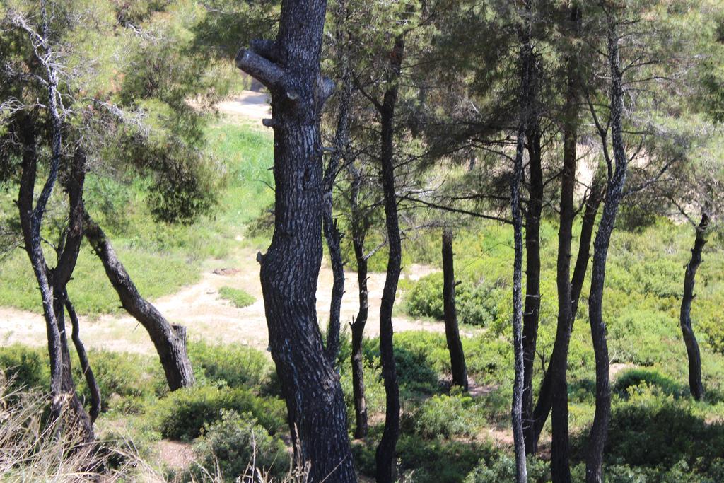 Sani Xara Sani (Chalkidiki)