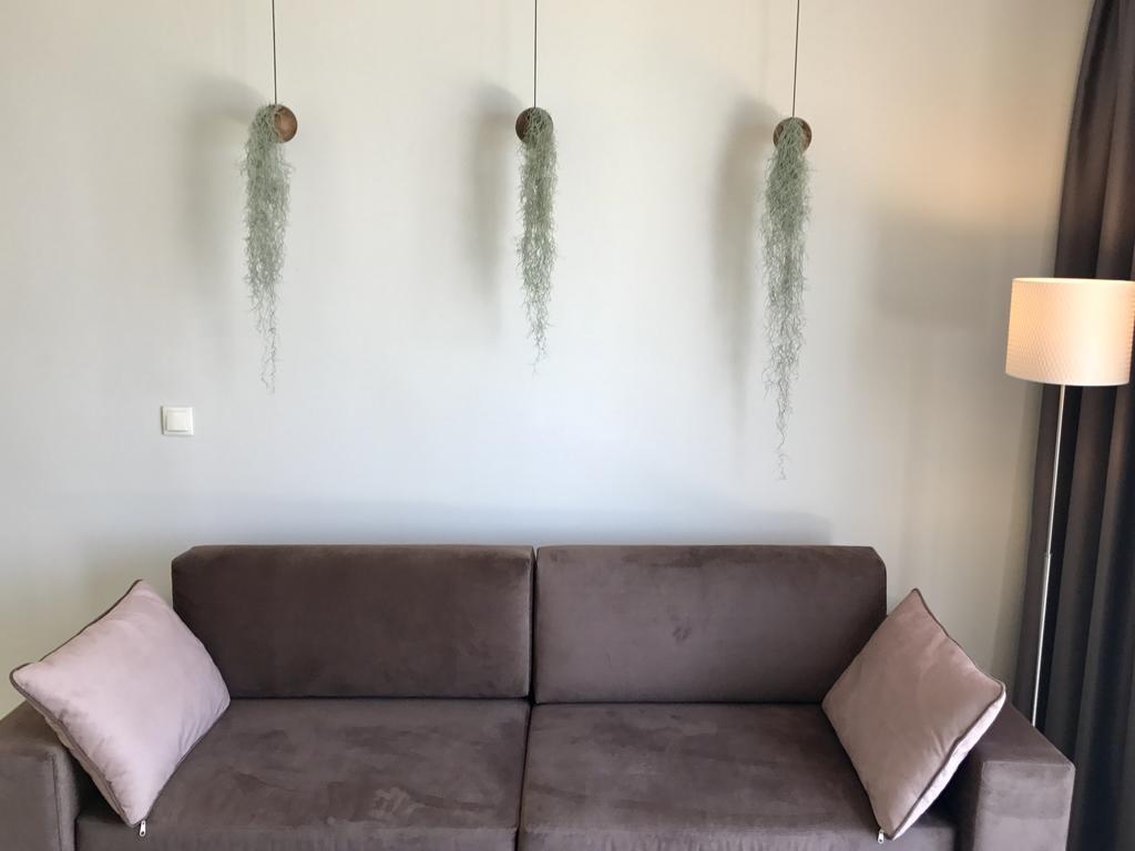 Hotel Palms And Spas Retreat 3*