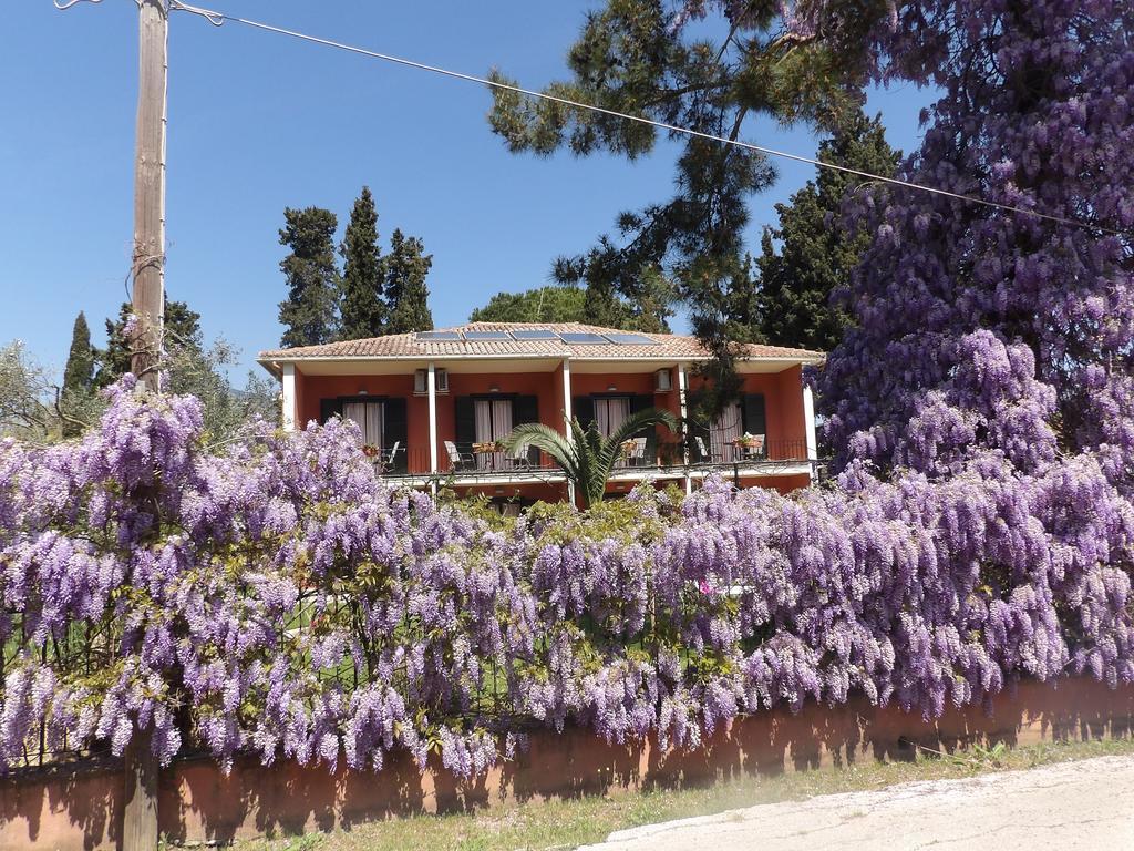 Guest house Dassia Beach Pension Dassia (Corfu)