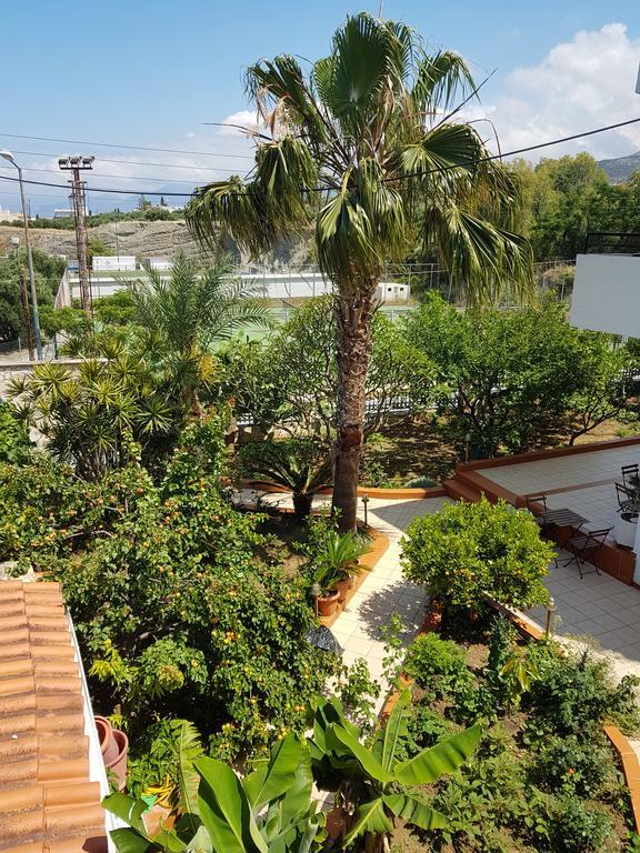 Elia & Tina Apartments 2* Hersonissos (Crete)