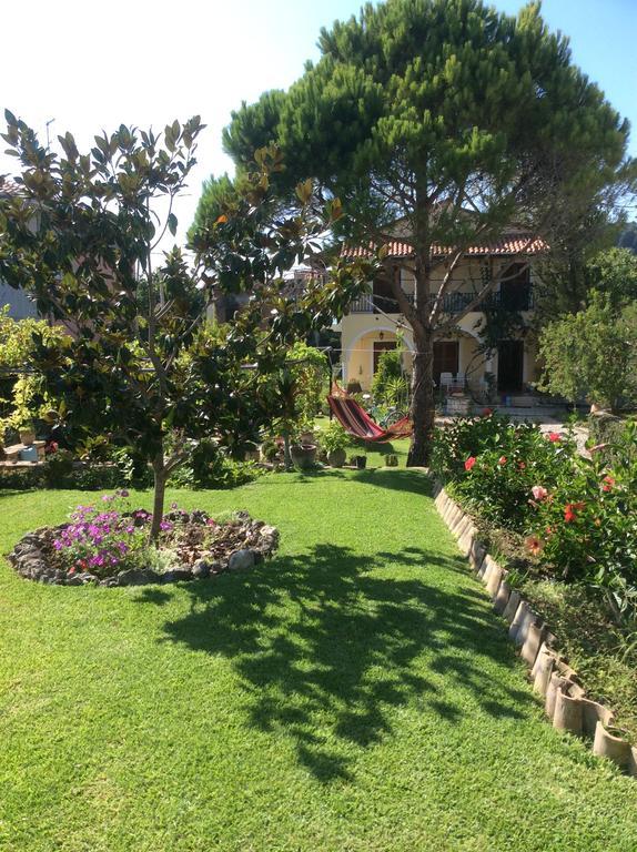 Apartment Studios Arillas (Corfu)