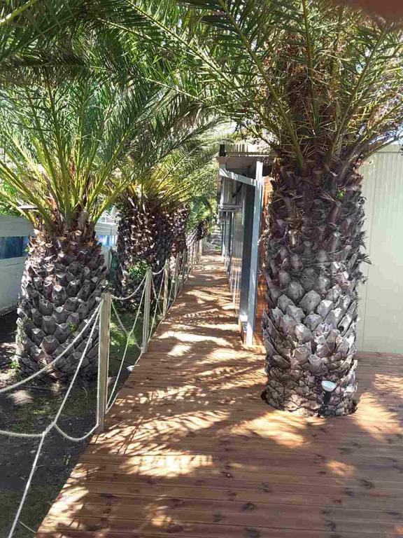 Thalassa Boutique Aparthotel 2*