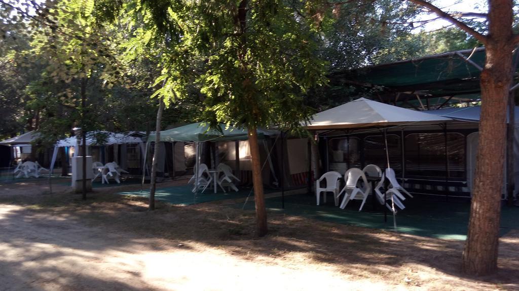 Pitsoni Campsite 2*