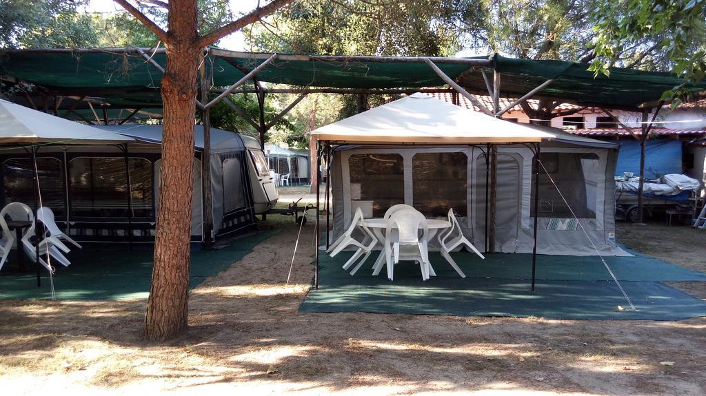 Pitsoni Campsite Sykia Chalkidikis
