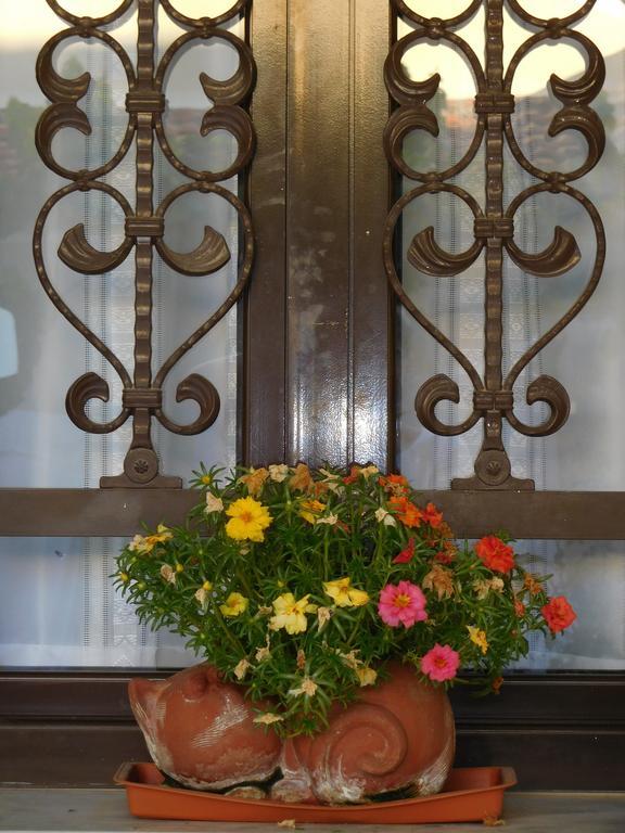 Apartment Antigoni's