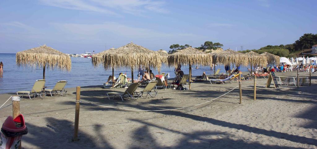 Olive Grove Apts * Lithakia (Zakynthos)