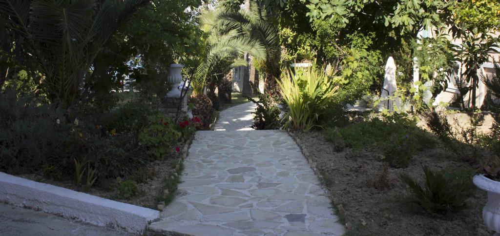 Olive Grove Apts * Lithakia (Zakynthos)
