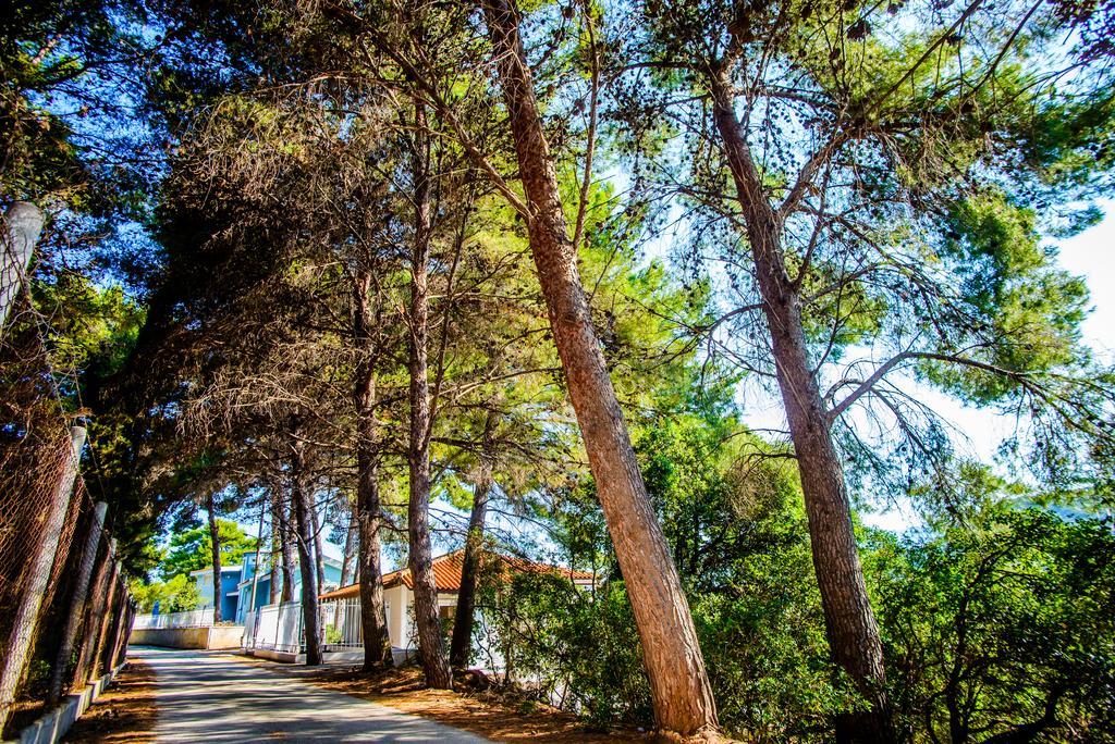 Malibu & Lassi (Kefalonia)