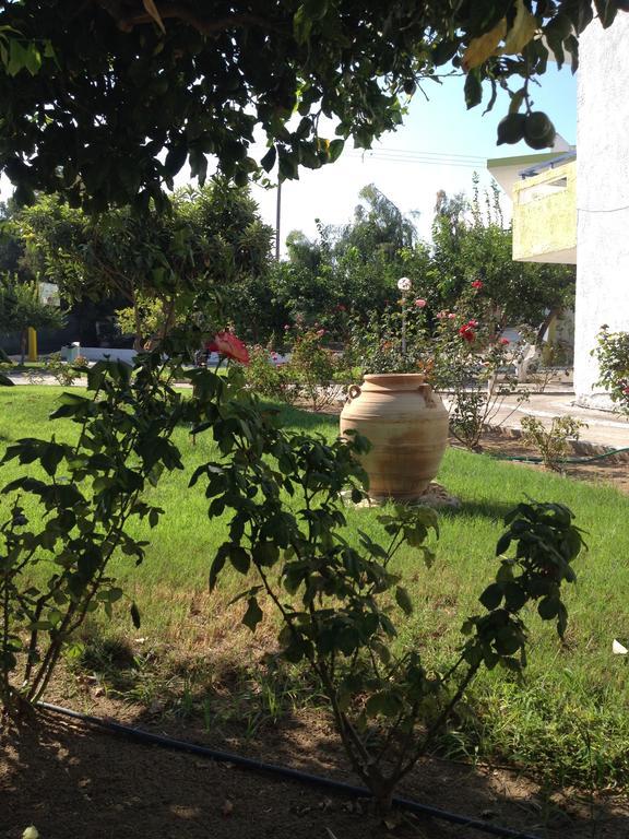 Aparthotel Black Diamond Kos Town