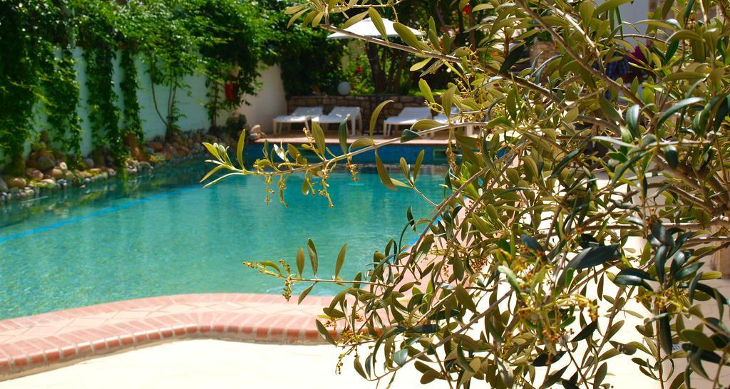 Hotel Pighi Kriopigi