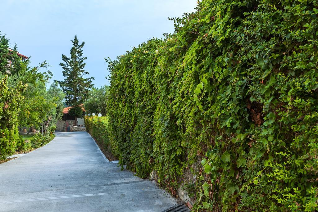 Hotel Kriopigi 4*