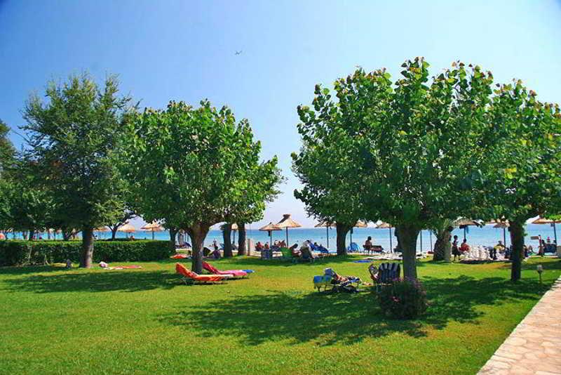 Delfinia 4* Moraitika