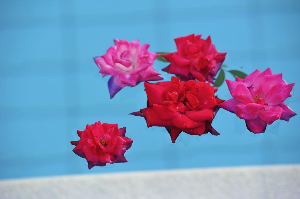 Marina Hotel 2*