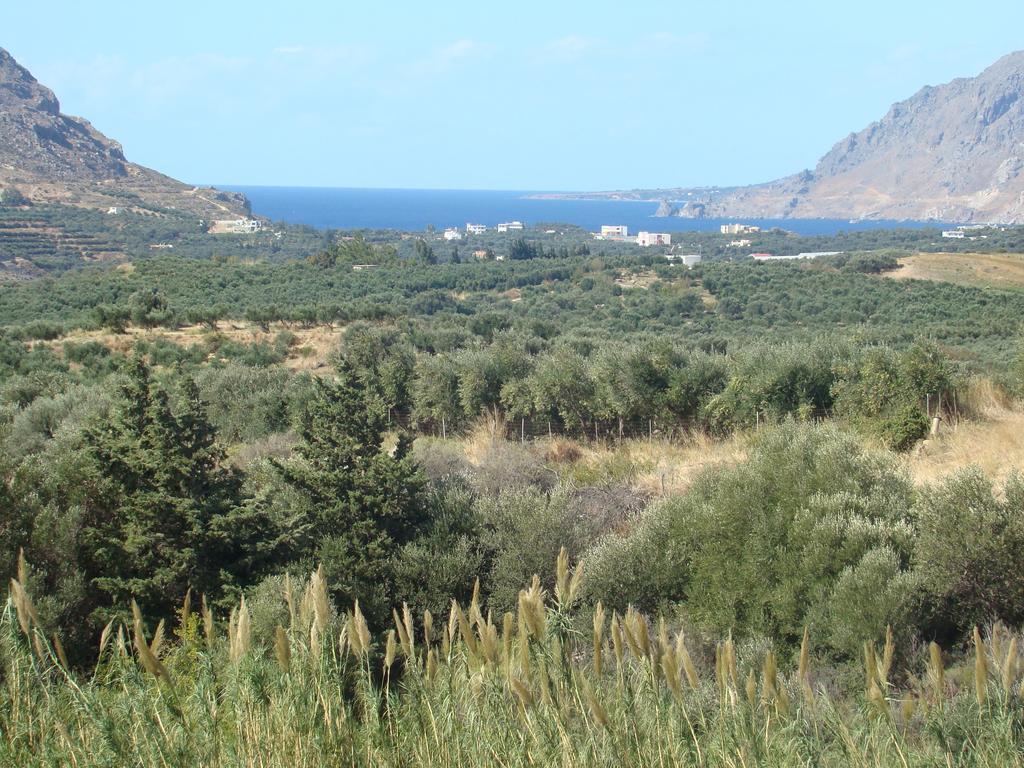 Villa Apollon Lefkogeia