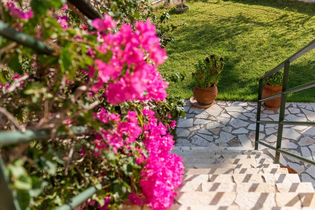 Maria's House Apartment Katelios