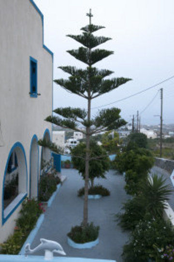 Alizea & Fira (Santorini)