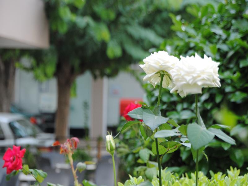 Yiorgos Hotel