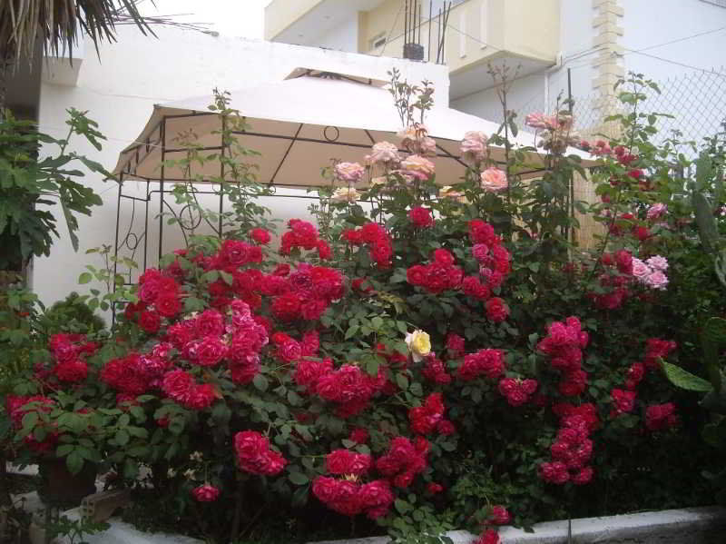 Hariklia Rent Guest house