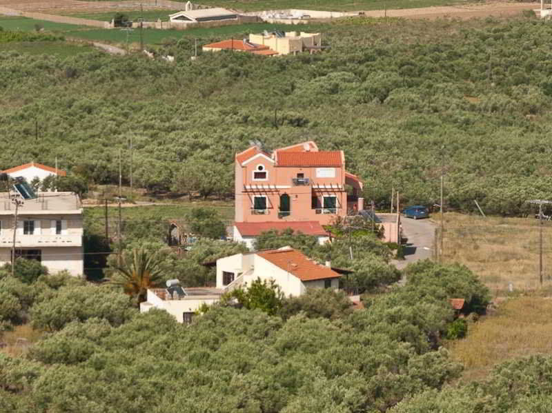 Olive Tree Kissamos