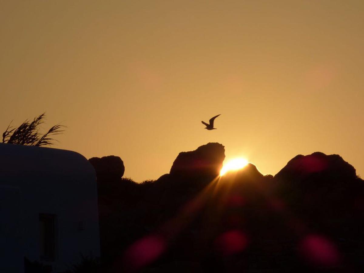 Terra Rock * Super Paradise Beach (Mykonos)