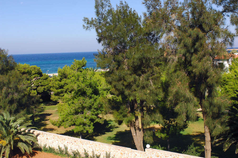 Palmyra Athens