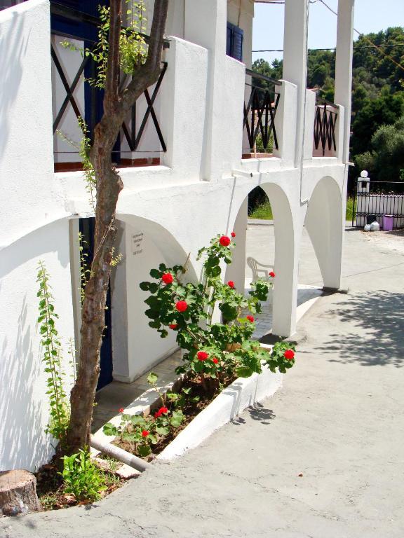Diamanti * Kanapitsa (Thessaly)