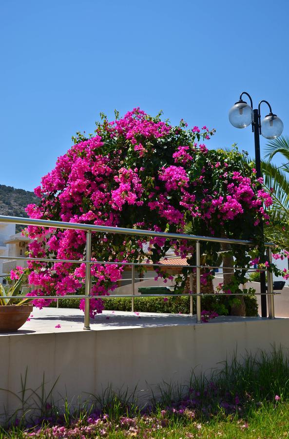 Niko Elen Hotel Stalida