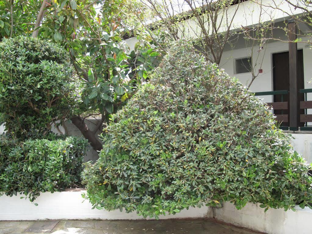 Sunningdale Hotel Agia Galini (Crete)