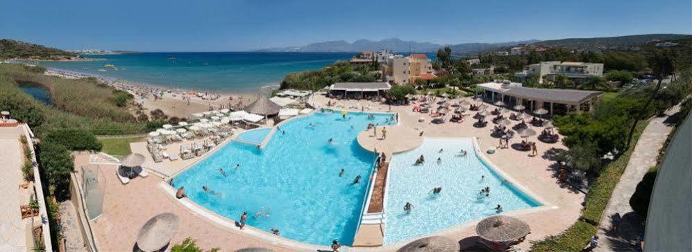 The (adults Only) Hotel