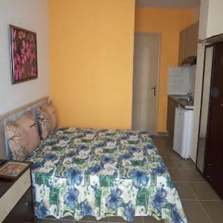 Apartment Elena *