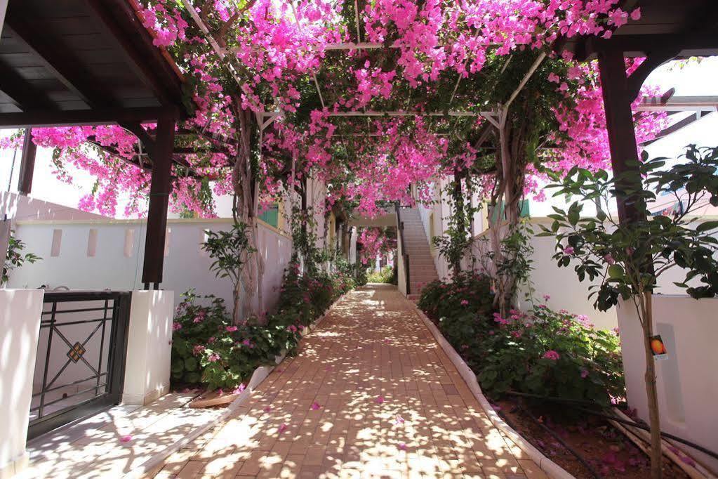 Aparthotel Paul Marie Hersonissos (Crete)