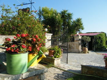 Panorama Studios &