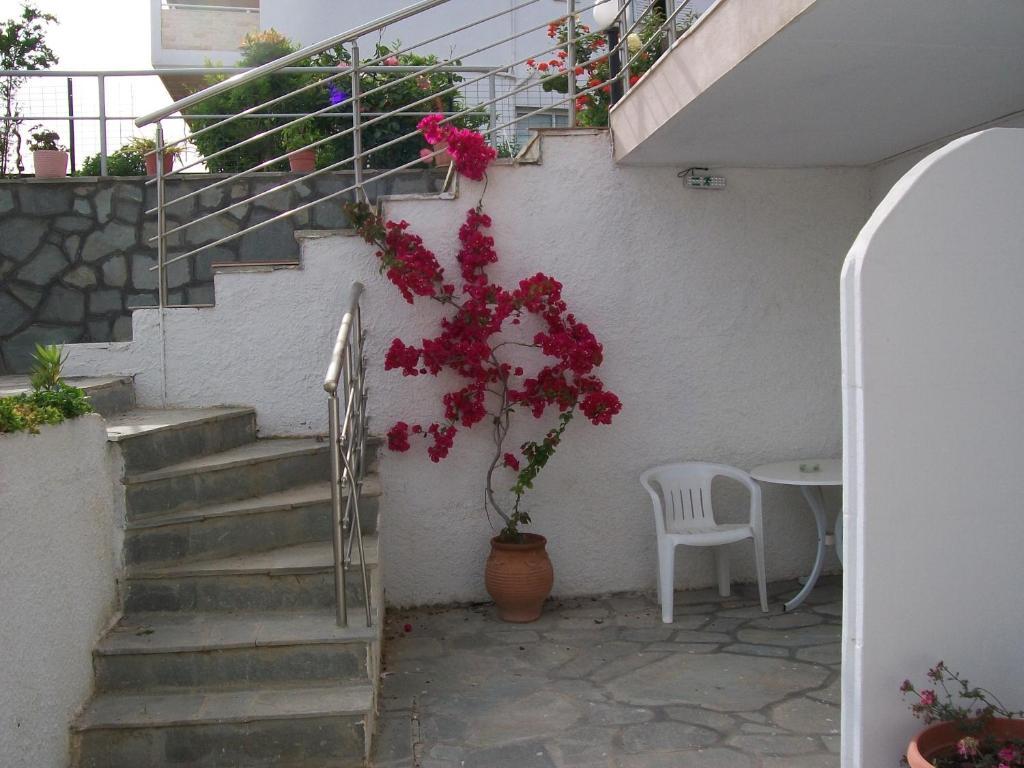 Paschalia Sea View Apartment Psakoudia