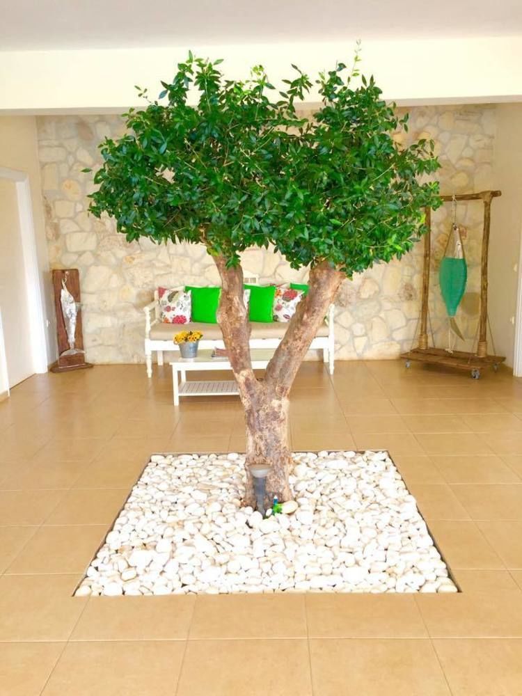 Ammos Boutique Apartments & Suites 3* Malia (Crete)
